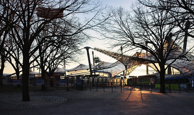 确保了球队 确保了球队