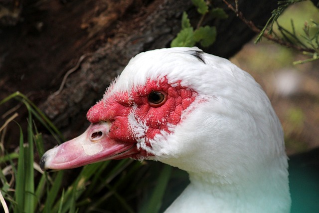 类似的案例 类似的案例