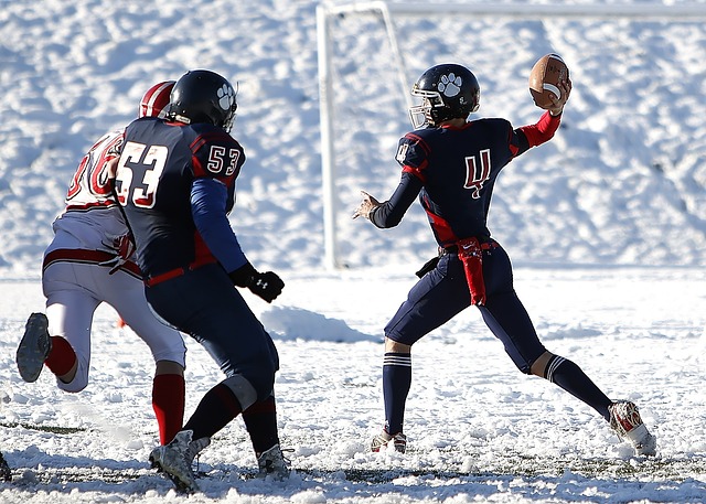 哈利伯顿不 哈利伯顿不