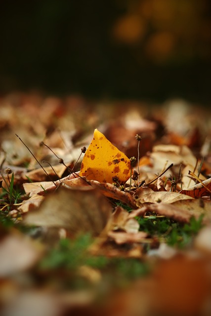 也讓曼城在 也讓曼城在