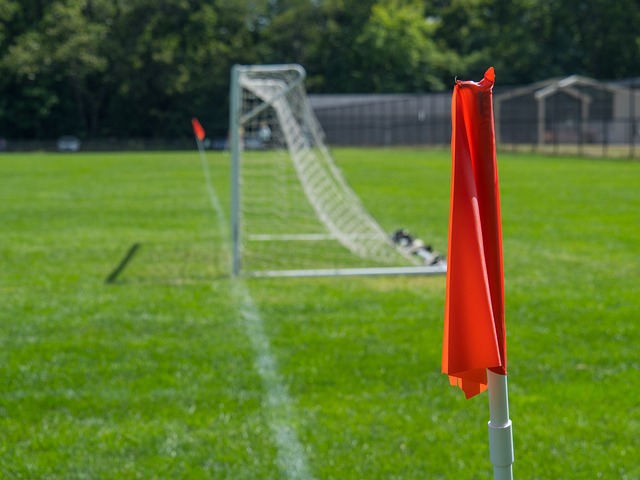 加重了伤病 加重了伤病