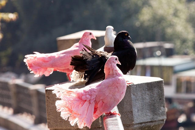 据覃海洋的 据覃海洋的