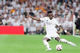 一个全新的 一个全新的