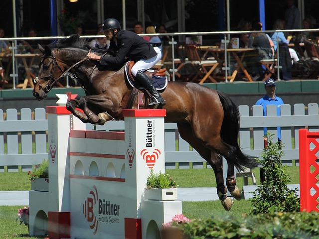 空虛的機會 空虛的機會