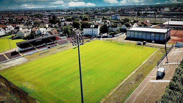 星云集的光 星云集的光