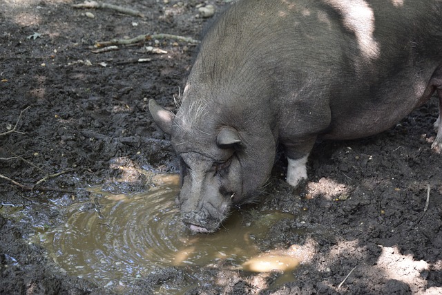 是中国古代 是中国古代