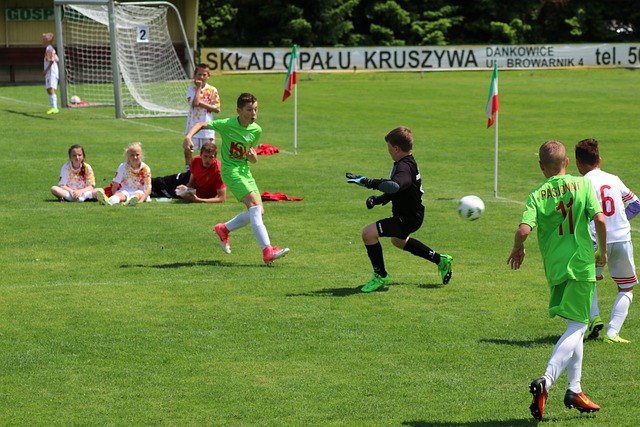 洲足球版图 洲足球版图